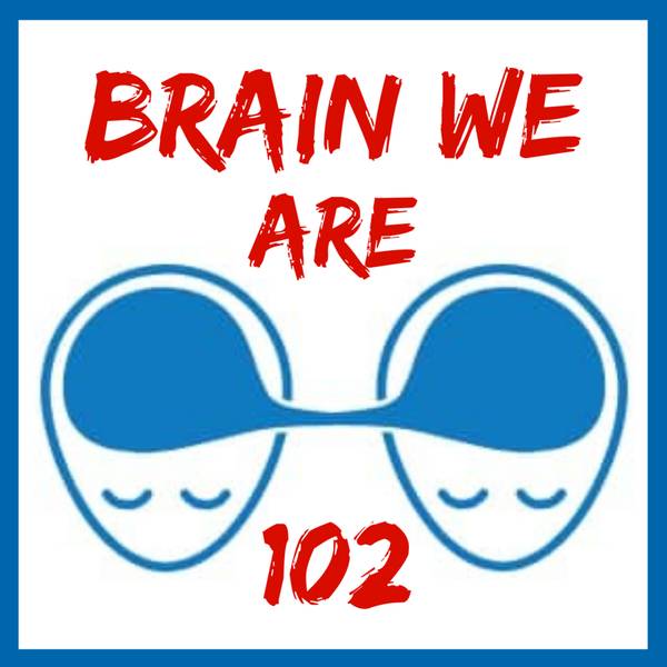 Brain We Are CZ